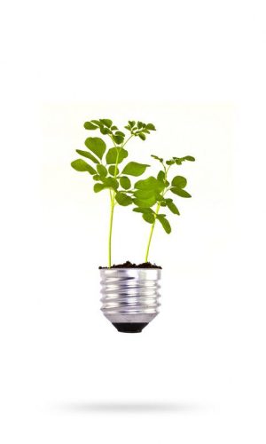 energy efficiency